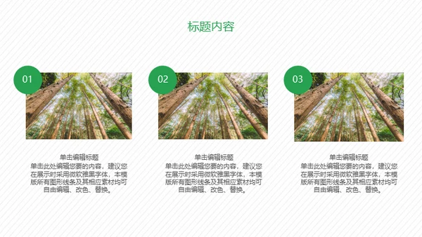 携手建设绿色家园通用PPT模板