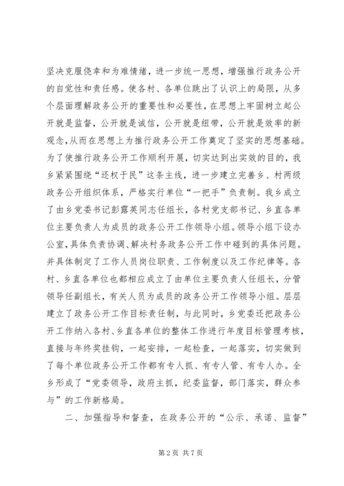 乡镇村务政务公开工作典型材料.docx