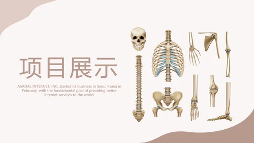 医学人体骨胳动态PPT模板