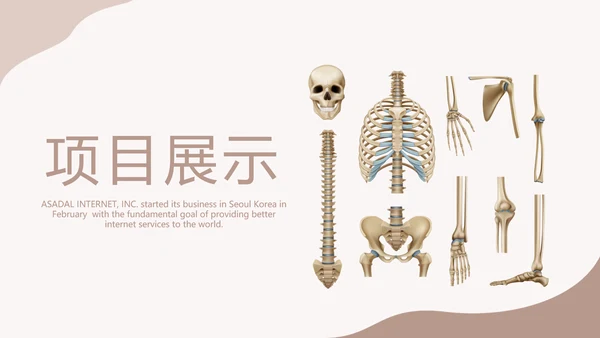 医学人体骨胳动态PPT模板