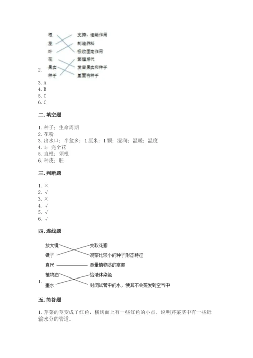 教科版四年级下册科学第一单元《植物的生长变化》测试卷精品（考点梳理）.docx