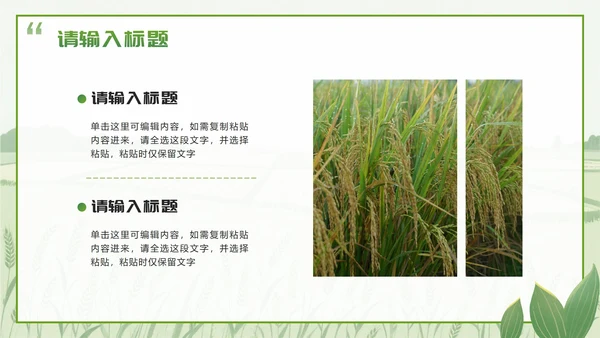 绿色简约实景我的家乡乡村旅游相册介绍PPT模板