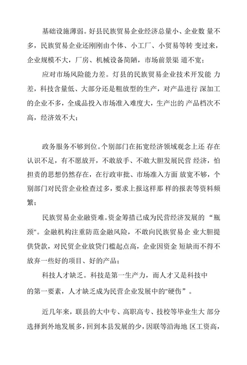 民族贸易经济发展的对策和建议