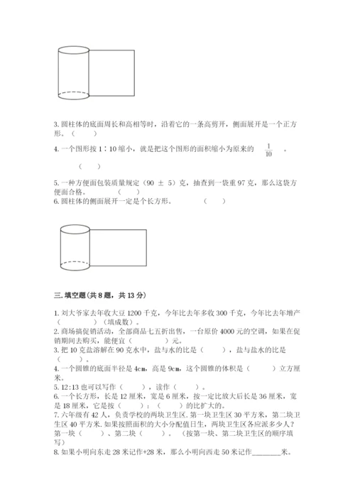 海盐县六年级下册数学期末测试卷标准卷.docx