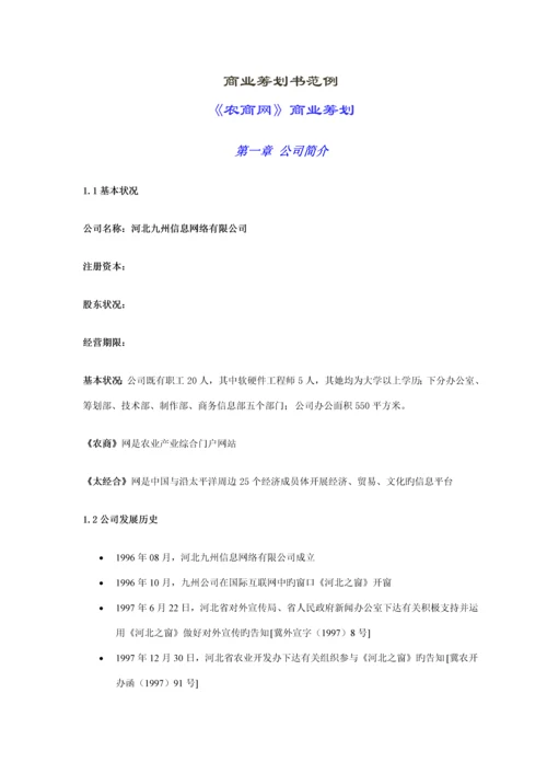 商务网站商业综合计划书.docx