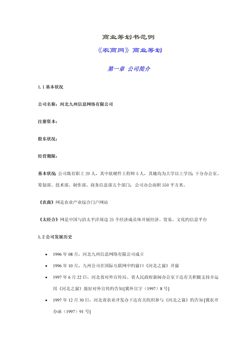 商务网站商业综合计划书.docx