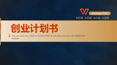轻奢质感逼格创业计划书通用PPT模版