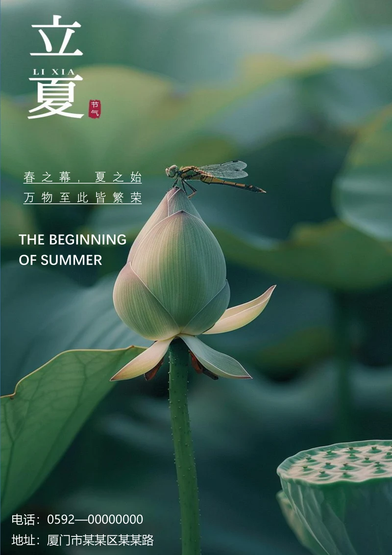 极简清新立夏节气海报