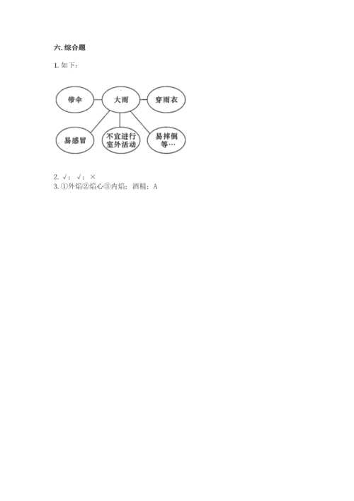 教科版三年级上册科学期末测试卷【历年真题】.docx