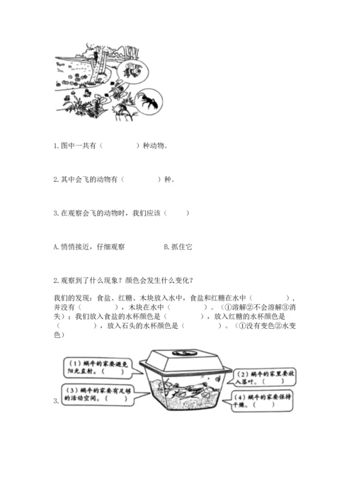 教科版一年级下册科学期末测试卷附答案（实用）.docx
