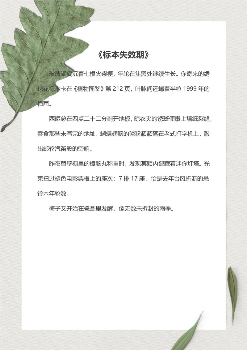绿色清新信纸