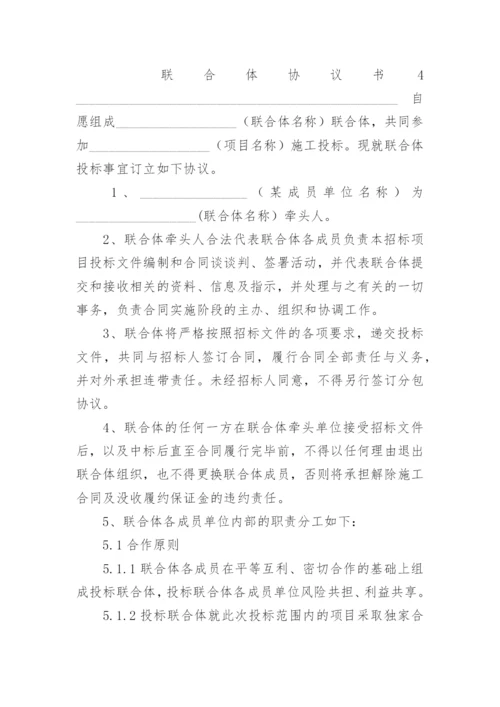 联合体协议书范本.docx