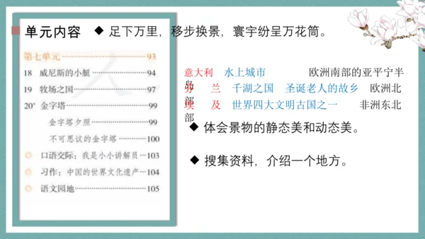 统编版语文五年级下册第七单元教材解读   课件