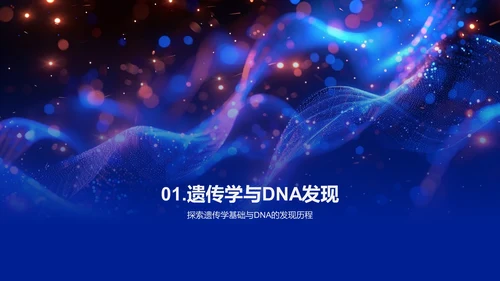 DNA结构与功能