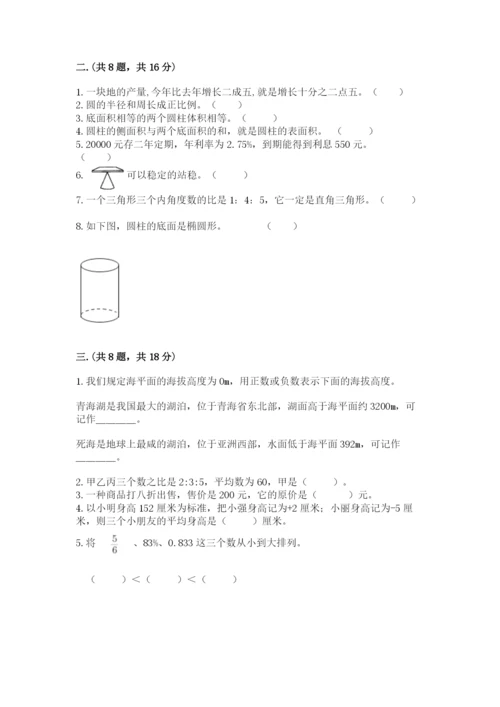 洛阳市小学数学小升初试卷（考点梳理）.docx