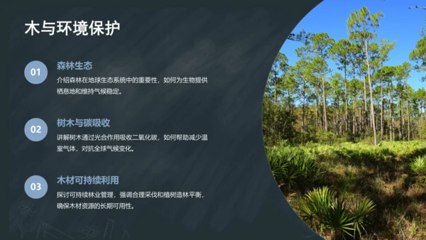 2《金木水火土》课件
