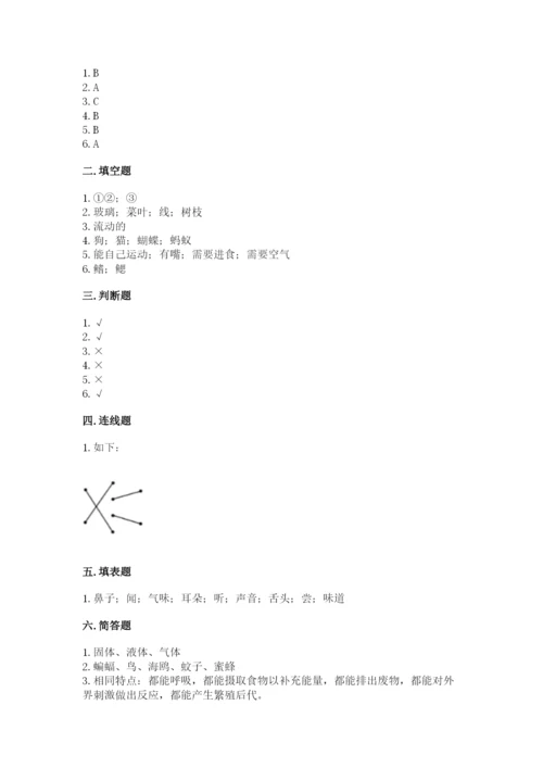 教科版一年级下册科学期末测试卷及答案【夺冠】.docx