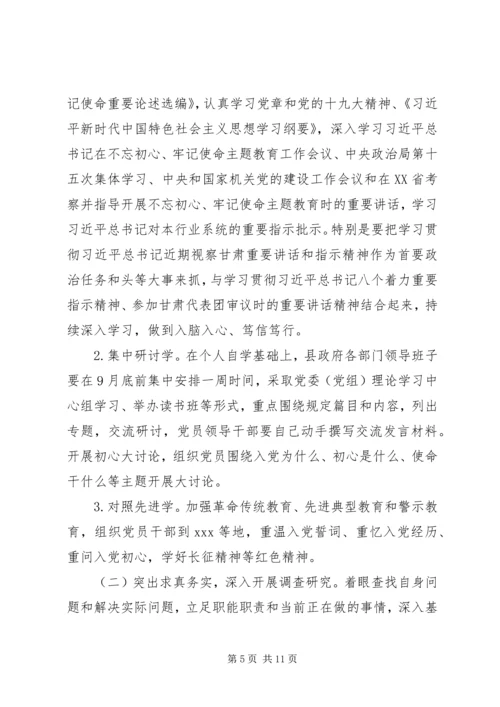 人民政府党组关于开展“不忘初心、牢记使命”主题教育的实施方案.docx