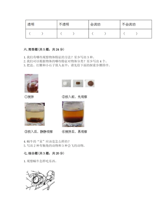 教科版小学科学一年级下册期末测试卷附答案（模拟题）.docx