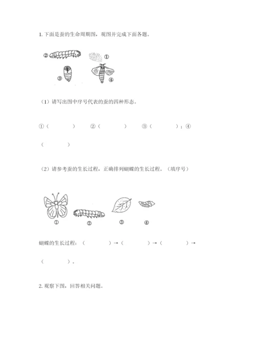 教科版三年级下册科学期末测试卷附答案ab卷.docx