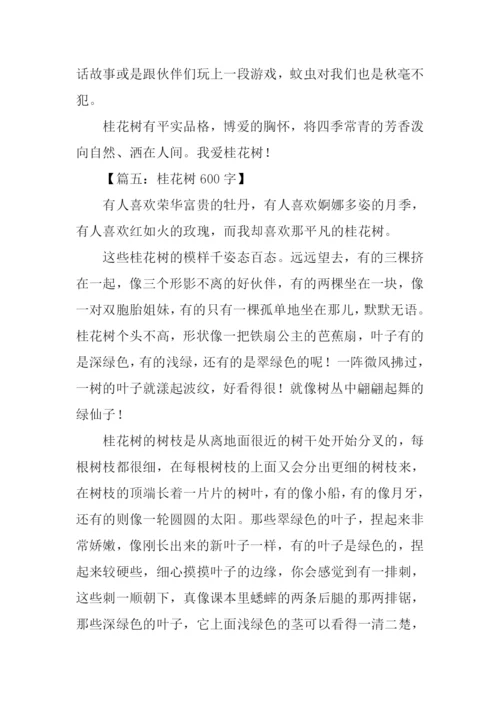 描写桂花树的文章.docx