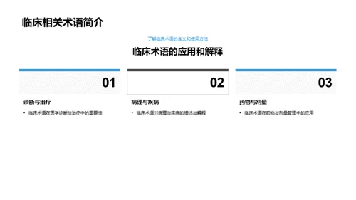 解剖学探索之旅