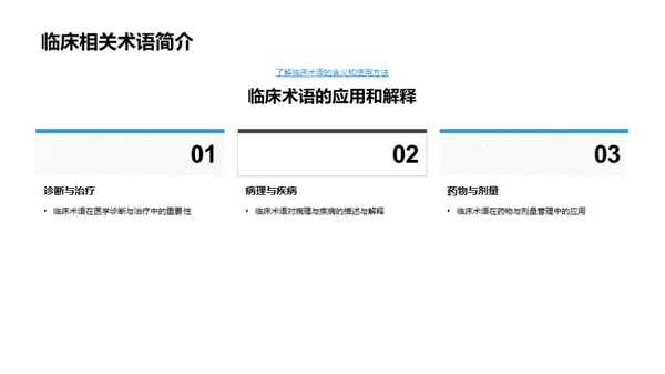 解剖学探索之旅