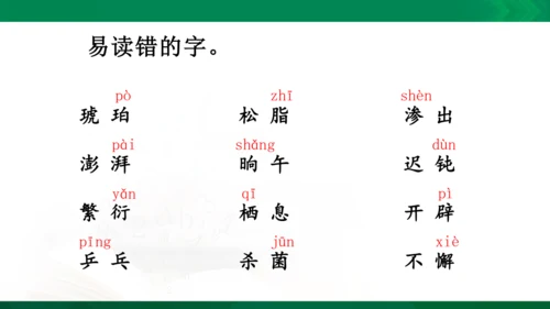 统编版语文四年级下册 第二单元 复习课件（共26张PPT）