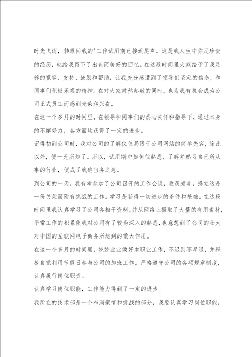 个人试用期工作总结报告