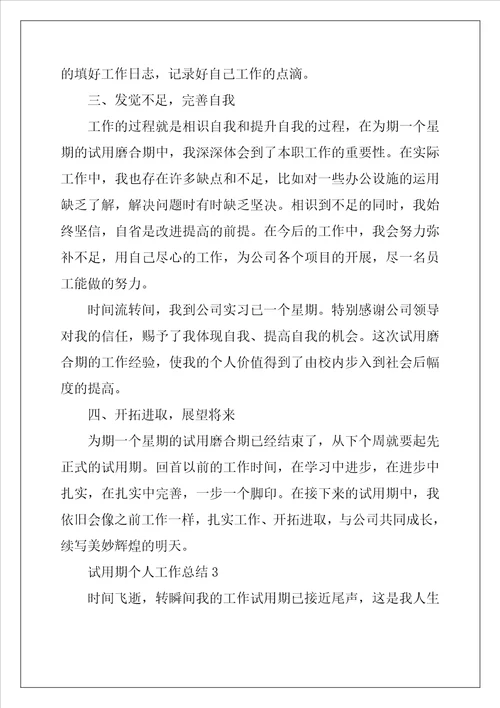 2022试用期个人工作总结