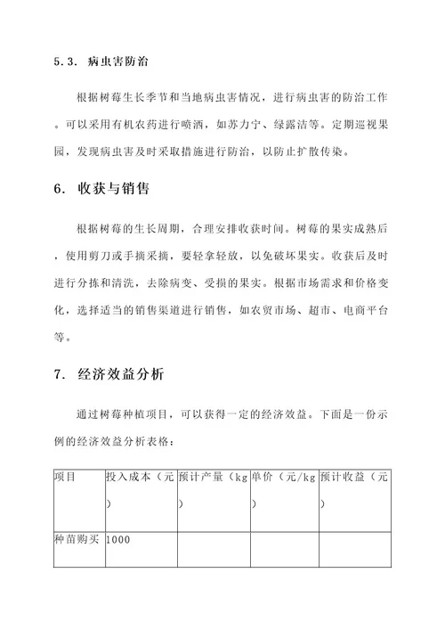 树莓项目种植方案