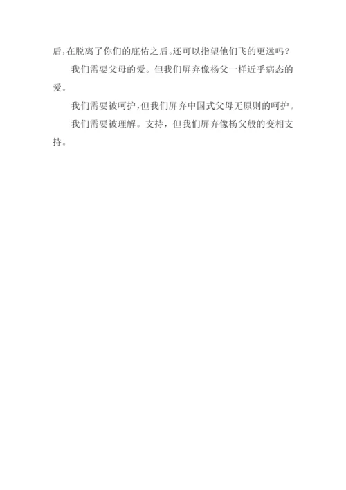 小议追星议论文.docx