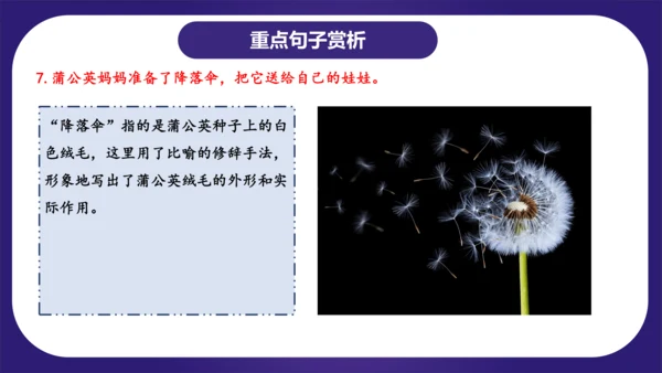 统编版2023-2024学年二年级语文上册单元复习第一单元（复习课件）