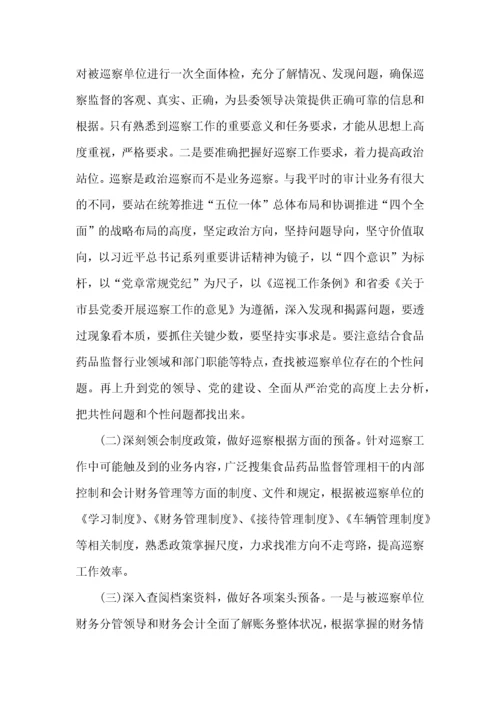 个人巡视工作心得体会范文五篇.docx
