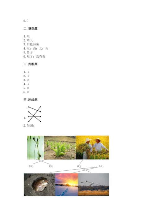 教科版小学二年级上册科学期末测试卷含答案（考试直接用）.docx
