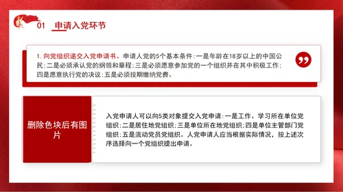 2024党支部标准化规范化发展党员的程序ppt课件