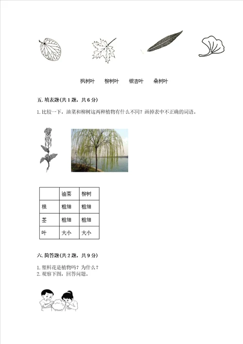 教科版科学一年级上册第一单元植物测试卷精品