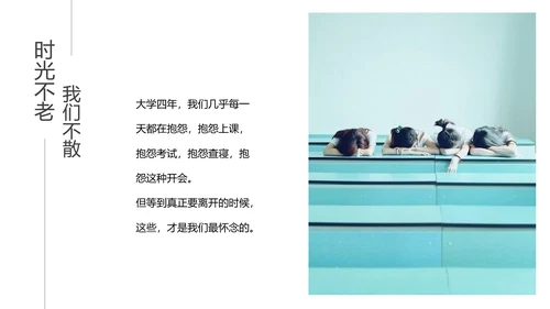 时光不老我们不散毕业纪念PPT模板
