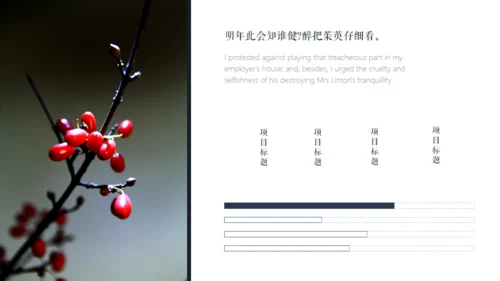 古风九九重阳节传统文化教学通用PPT模板