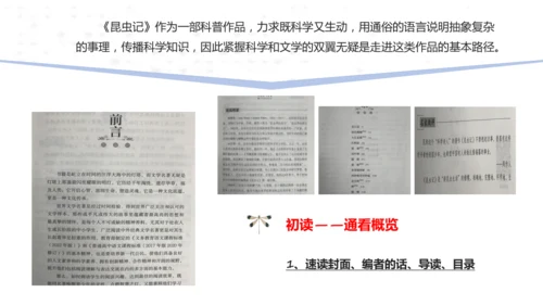 八年级语文上册 第五单元名著导读《昆虫记》课件