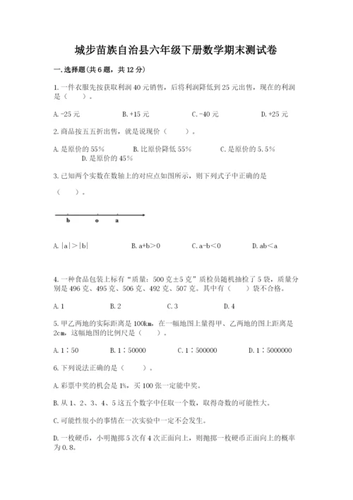 城步苗族自治县六年级下册数学期末测试卷及完整答案一套.docx