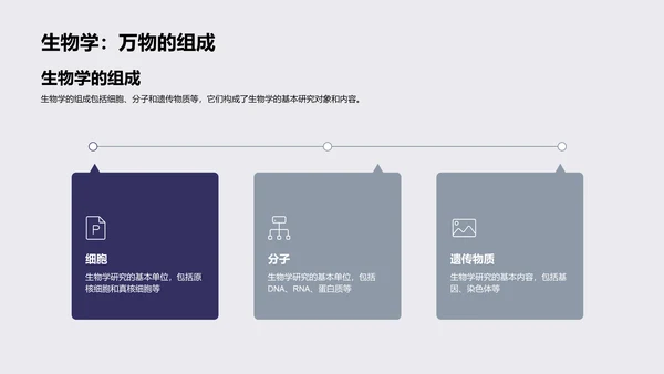 初探生物学PPT模板