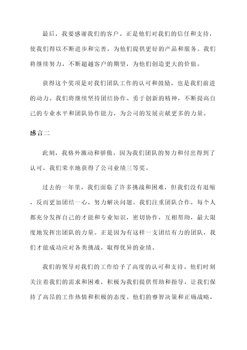 公司业绩获奖三等奖的感言