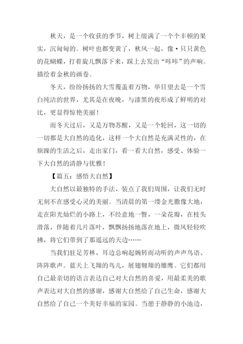 关于感悟自然的作文-1.docx