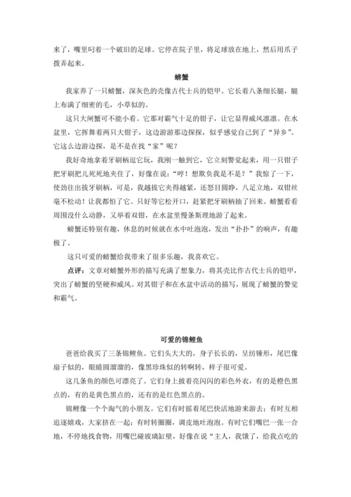 统编版2024-2025学年语文三年级上册跟着课文学写作：15.搭船的鸟仿写动物外形和动作（讲稿）
