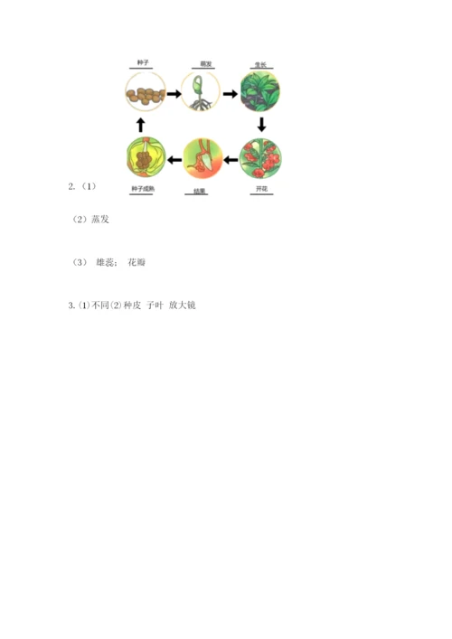 教科版科学四年级下册第一单元《植物的生长变化》测试卷（巩固）.docx