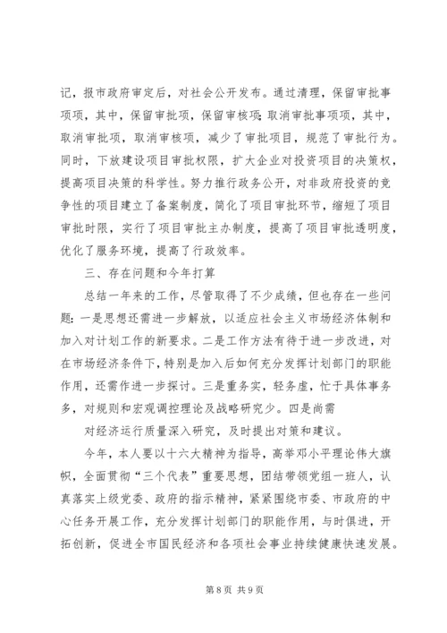 市计划局个人总结 (7).docx