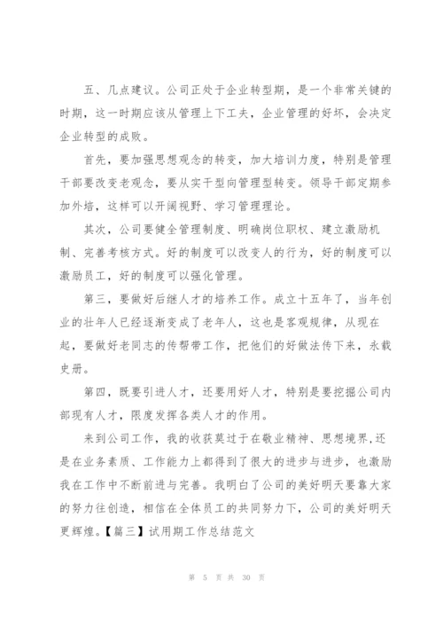 简短的试用期工作总结范文【10篇】.docx