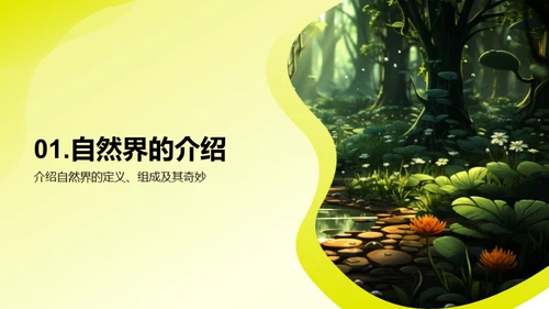 探秘自然世界