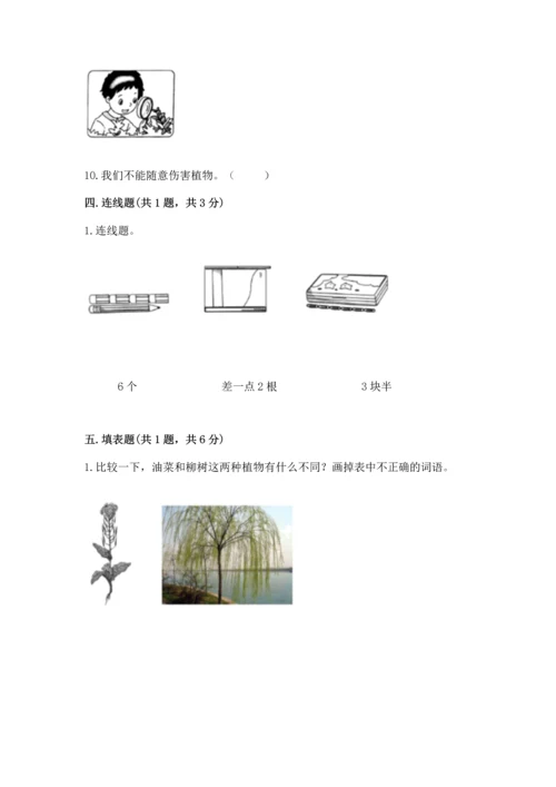 教科版一年级上册科学期末测试卷含下载答案.docx